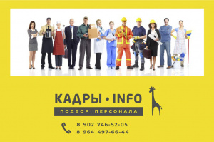 Кадры INFO