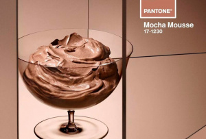 Цвет 2025 года шоколадно-коричневый оттенок Mocha Mousse